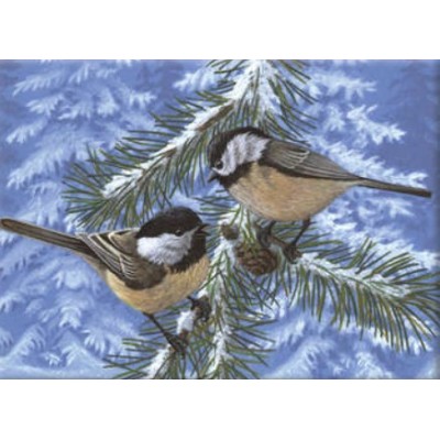 Peinture par Numéros Royal & Langnickel (30x45cm) - Oiseaux de Pin